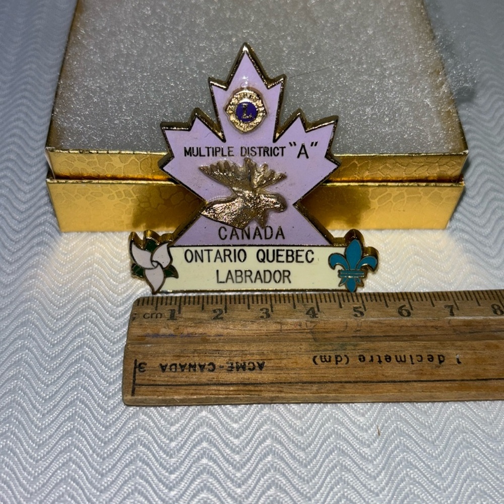 Lions club members pin